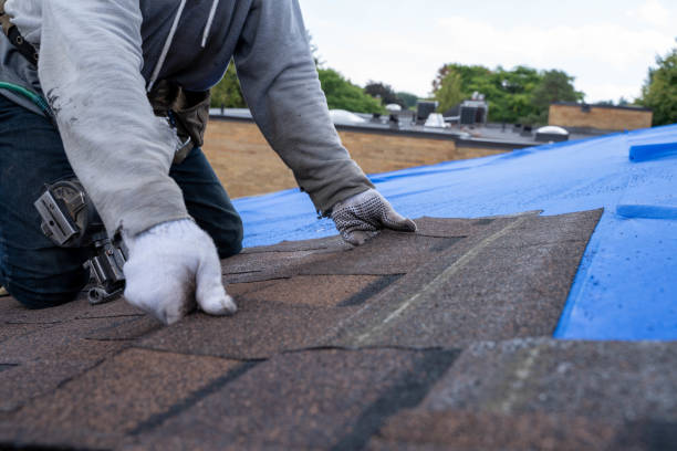 Best Storm Damage Roof Repair  in South Fallsburg, NY