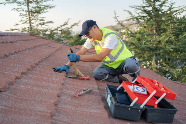Best Metal Roofing Contractor  in South Fallsburg, NY